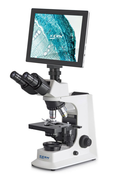 KERN Optics Set microscopio de luz transmitida - set digital compuesto por: 947-10, OBL 137, OBB-A1515, ODC 241, OBL 137T241